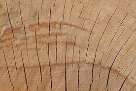 Optimálne suché drevo